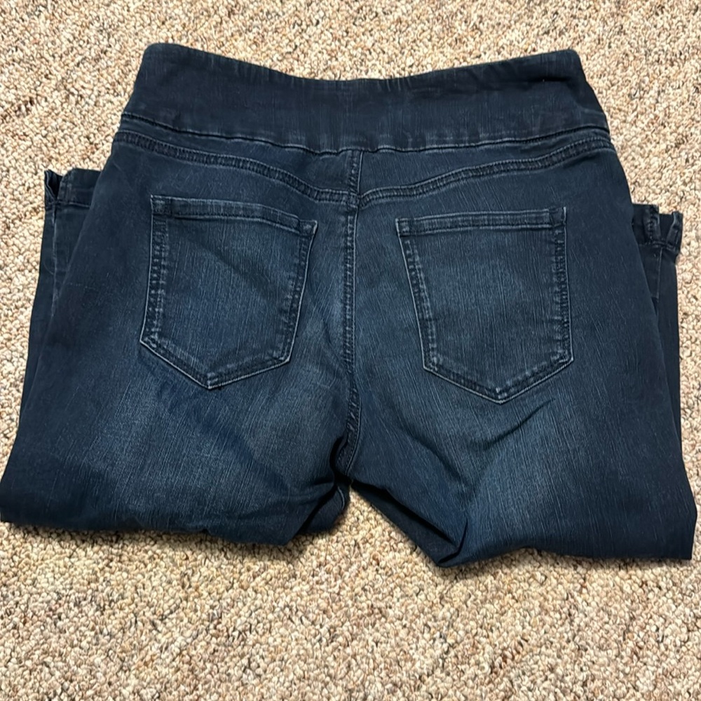 Gloria Vanderbilt All Around Slimming Effect Amanda jean capris 10P - Picture 3 of 5